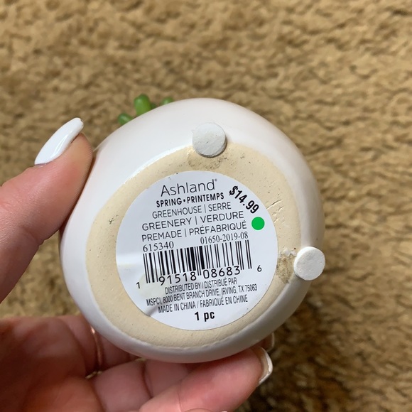 Decor - Picture 3 of 4